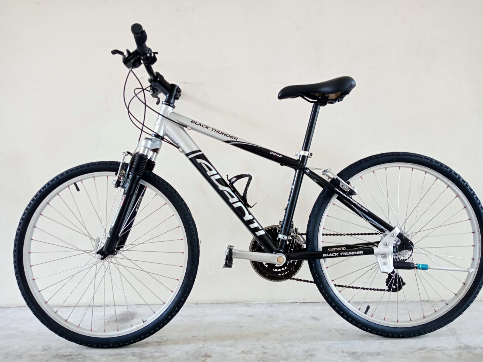 Avanti black thunder mountain bike deals