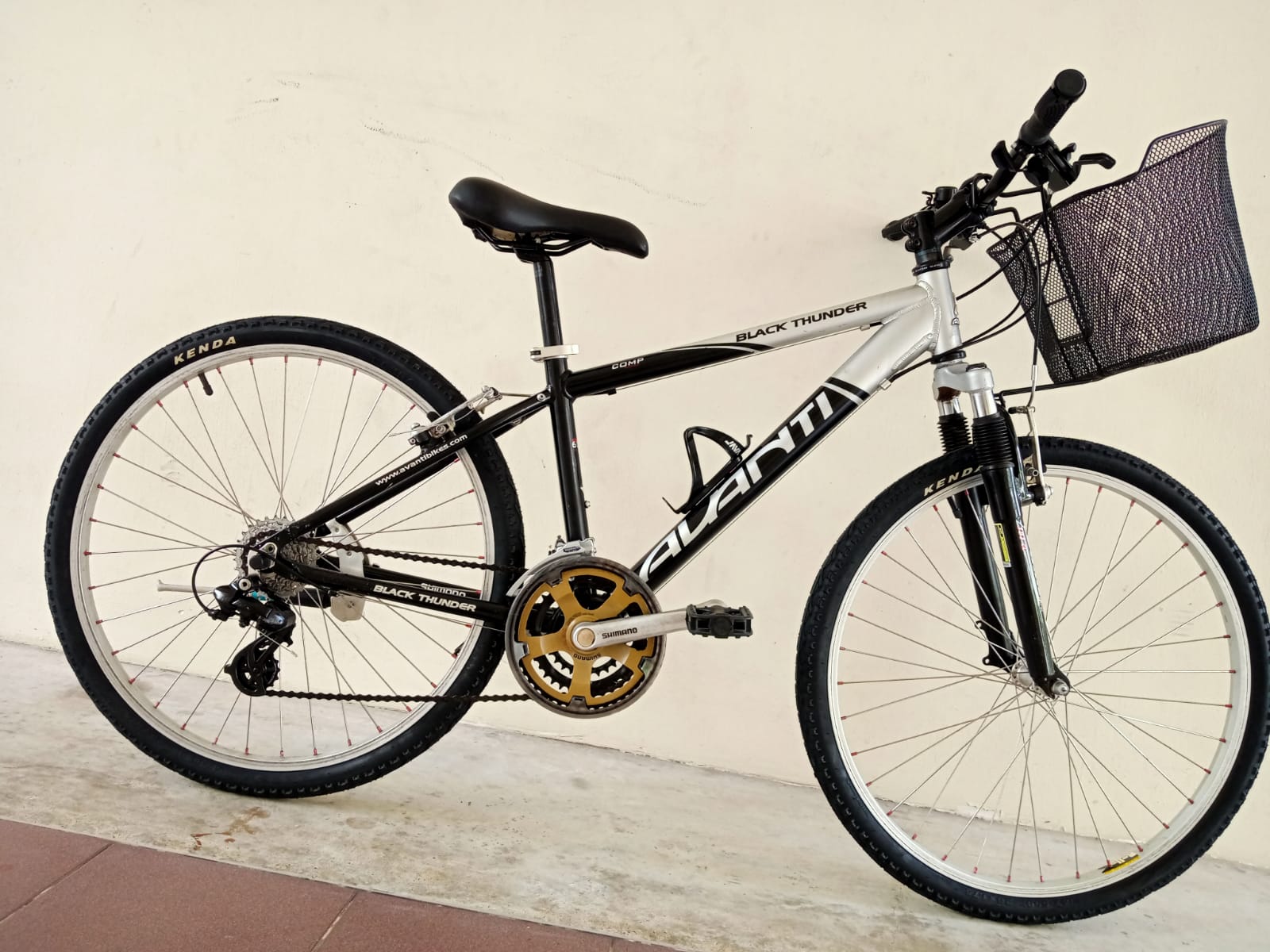 Avanti black thunder mountain bike price hot sale